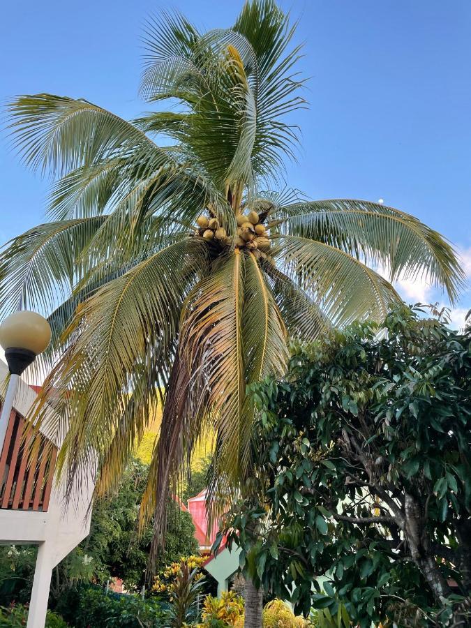 Résidence Sucrerie Motel - Les Anses-d'Arlets - Martinique Esterno foto