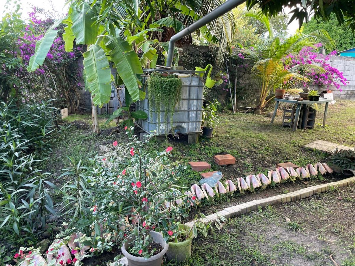 Résidence Sucrerie Motel - Les Anses-d'Arlets - Martinique Esterno foto