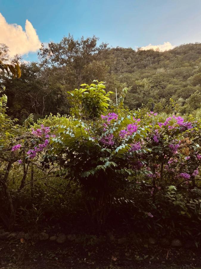 Résidence Sucrerie Motel - Les Anses-d'Arlets - Martinique Esterno foto
