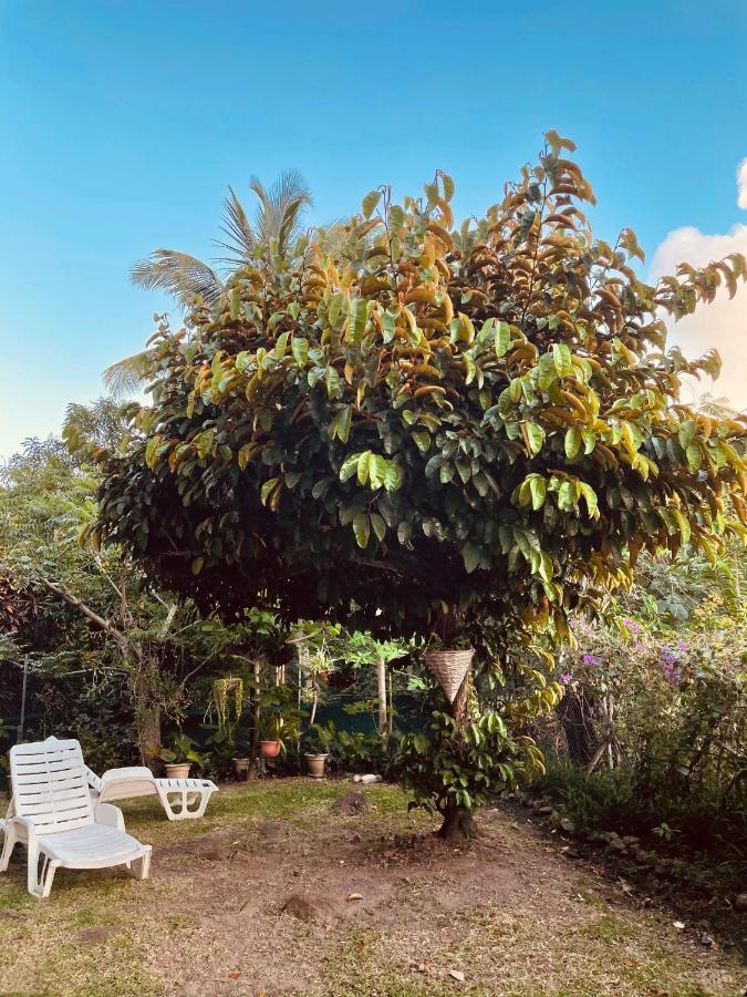 Résidence Sucrerie Motel - Les Anses-d'Arlets - Martinique Esterno foto