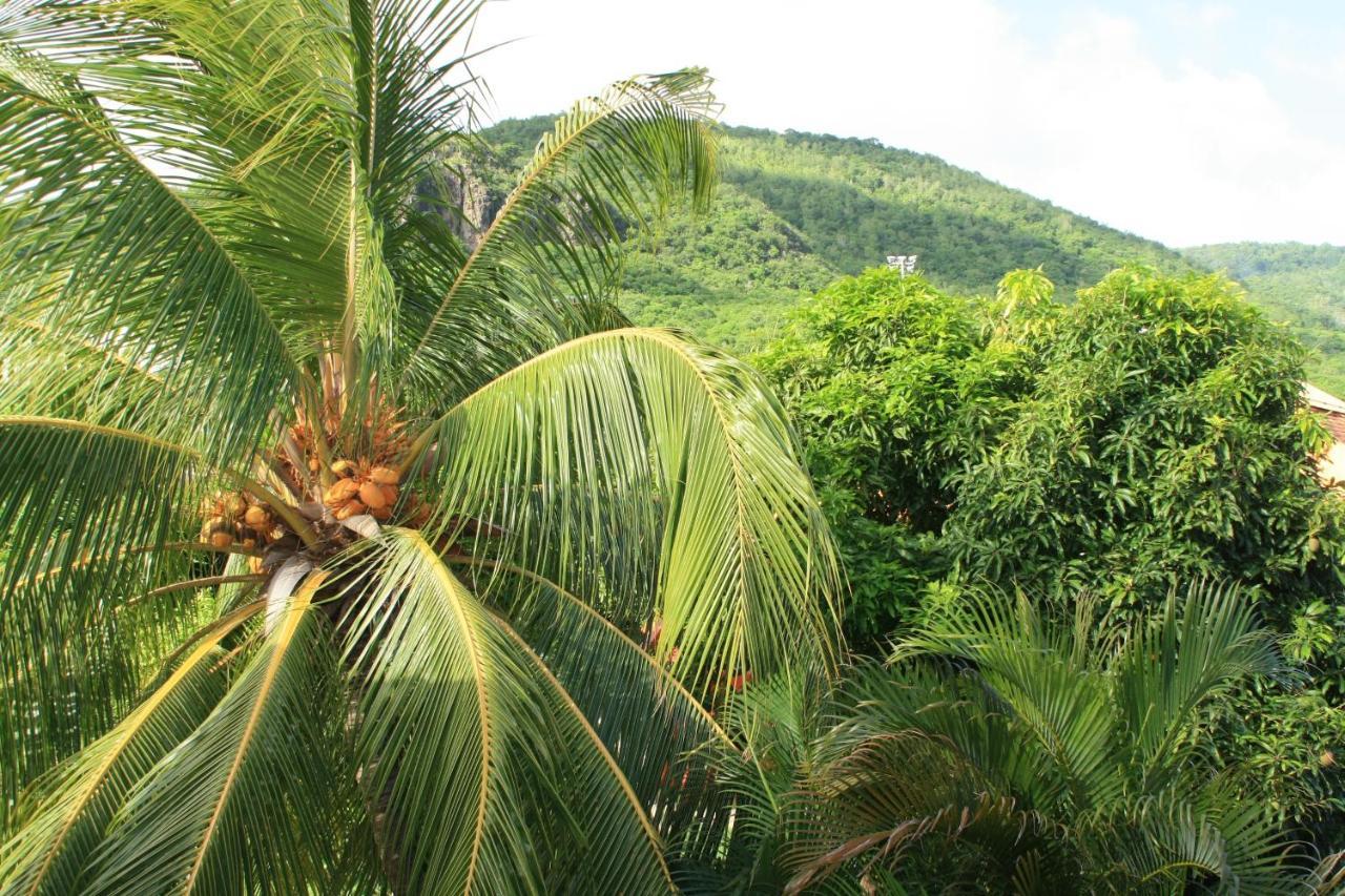 Résidence Sucrerie Motel - Les Anses-d'Arlets - Martinique Esterno foto